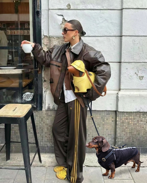 The Dachshund Bag - Lifestyle